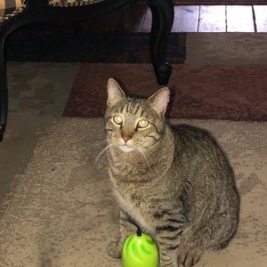 Meet your Posher, Tony